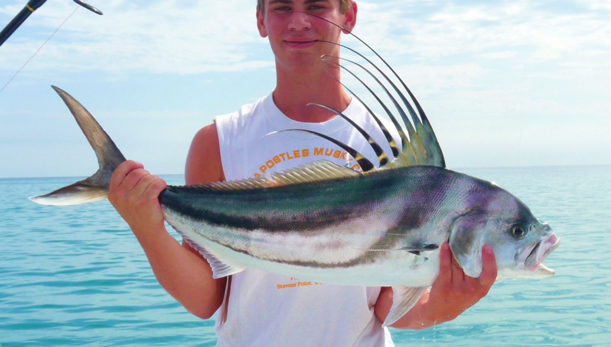 Roosterfish